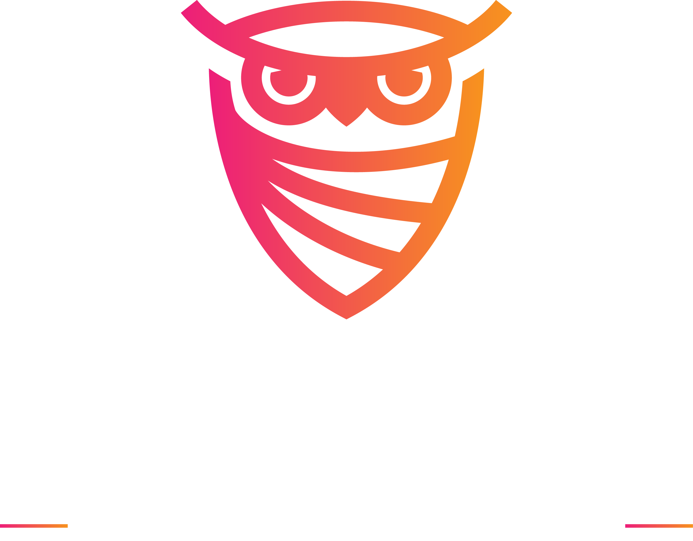 Cyberwise Solutions